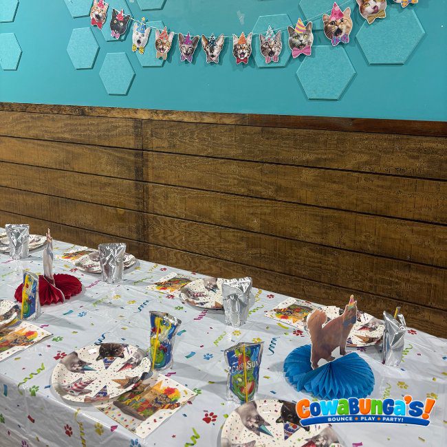 Public birthday party at Cowabunga’s North Reading